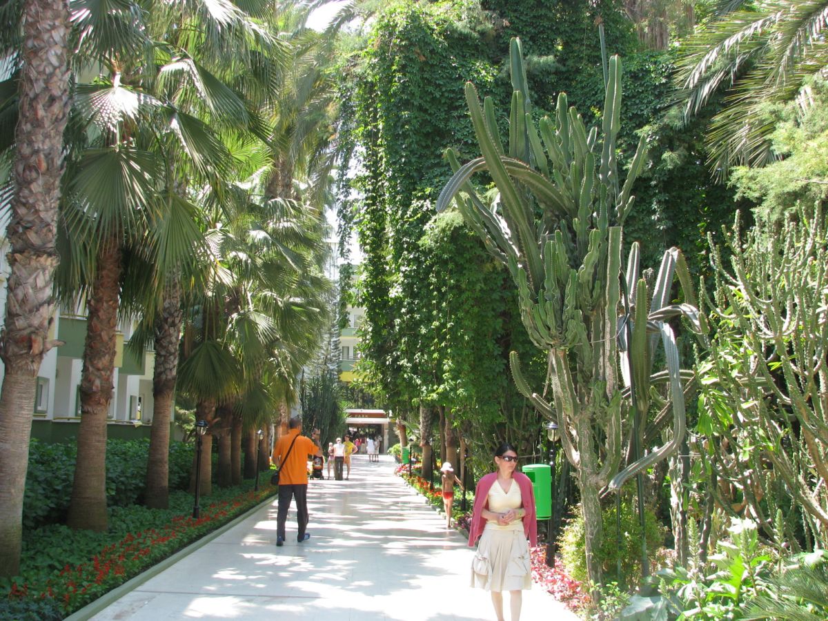 imagini hotel DELPHIN BOTANIK